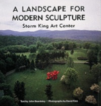 A Landscape for Modern Sculpture